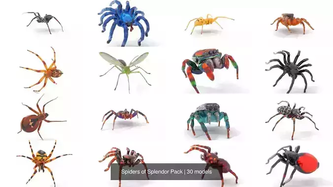Spiders of Splendor Pack 3D Model Collection
