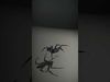 Spiders of Splendor Pack 3D Model Collection_2