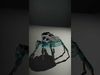 Spiders of Splendor Pack 3D Model Collection_22