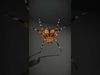 Spiders of Splendor Pack 3D Model Collection_26