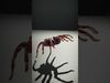 Spiders of Splendor Pack 3D Model Collection_28