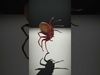 Spiders of Splendor Pack 3D Model Collection_34