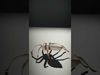 Spiders of Splendor Pack 3D Model Collection_38