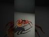 Spiders of Splendor Pack 3D Model Collection_40