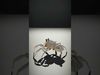 Spiders of Splendor Pack 3D Model Collection_46