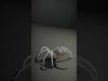 Spiders of Splendor Pack 3D Model Collection_50