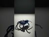Spiders of Splendor Pack 3D Model Collection_54