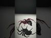 Spiders of Splendor Pack 3D Model Collection_56