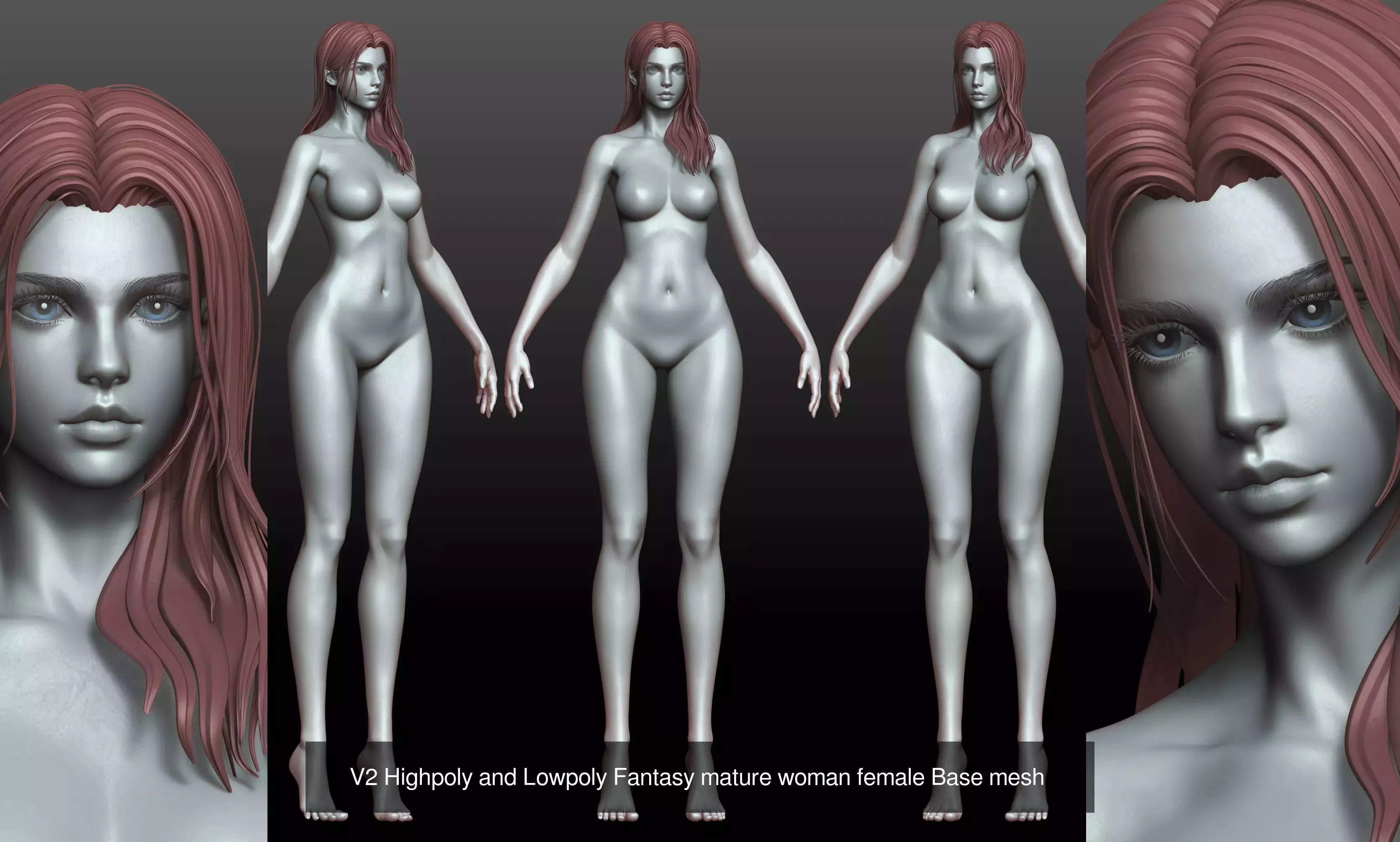v1 v2 v3 v4 female basemesh anatomy highpoly 3D Model Collection_2