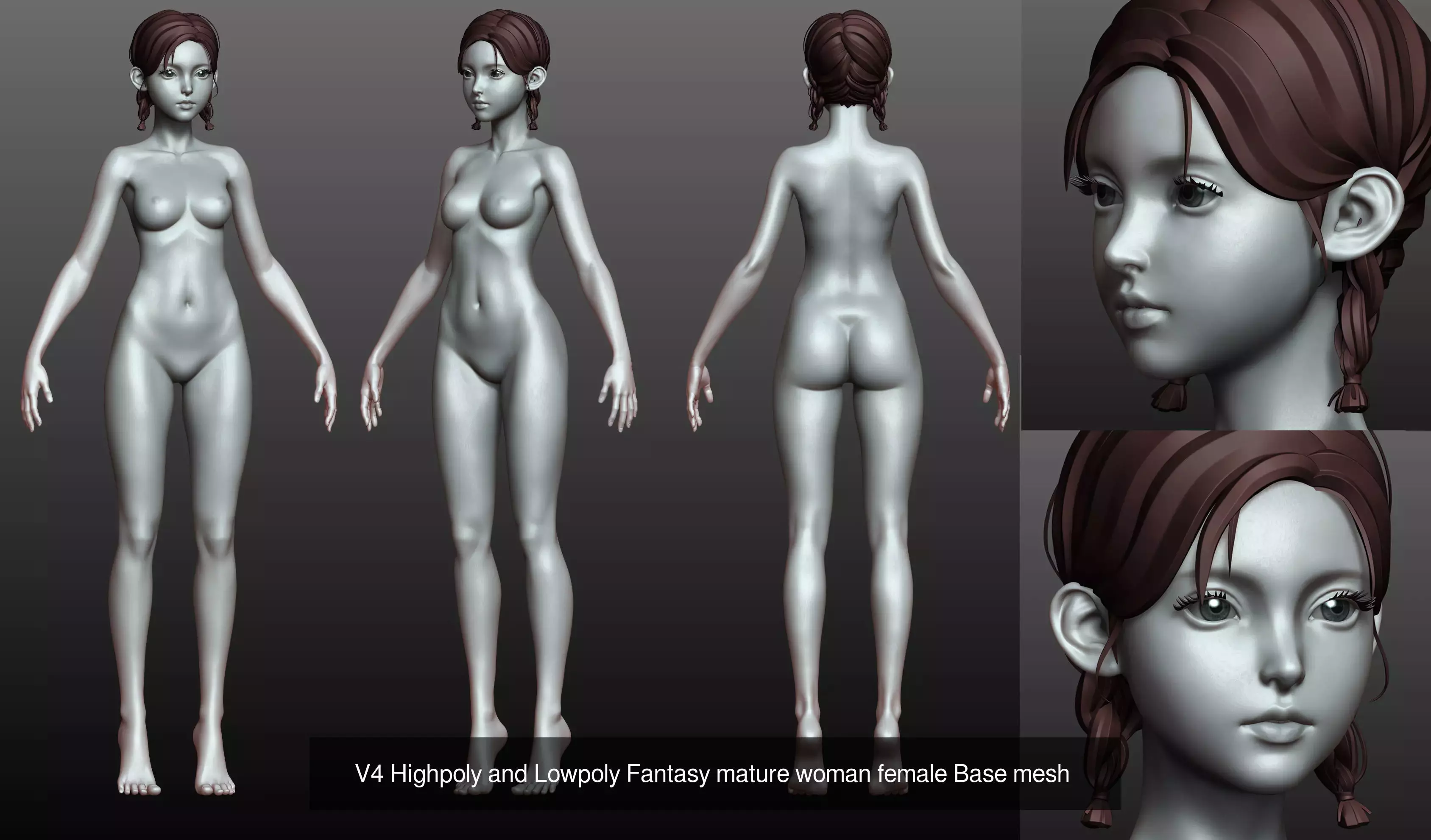 v1 v2 v3 v4 female basemesh anatomy highpoly 3D Model Collection_4
