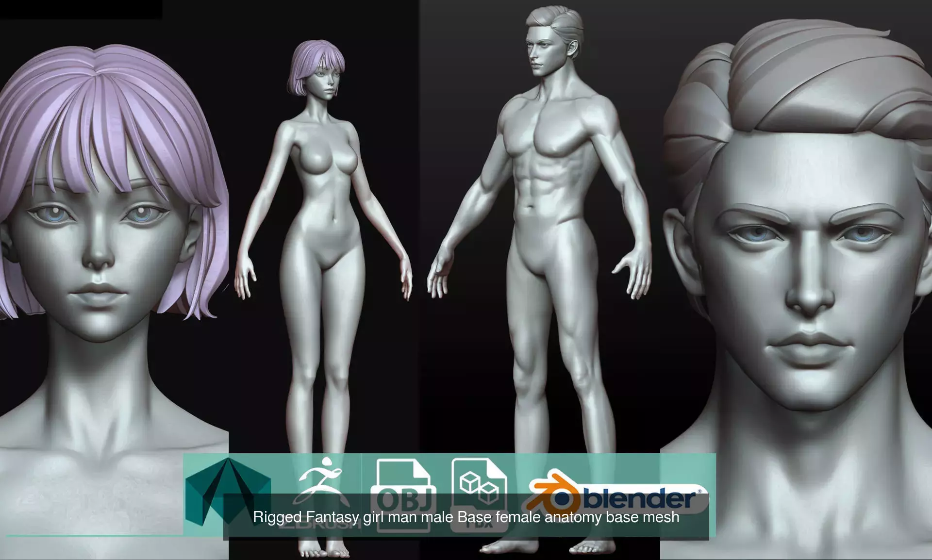 v1 v2 v3 v4 female basemesh anatomy highpoly 3D Model Collection_3