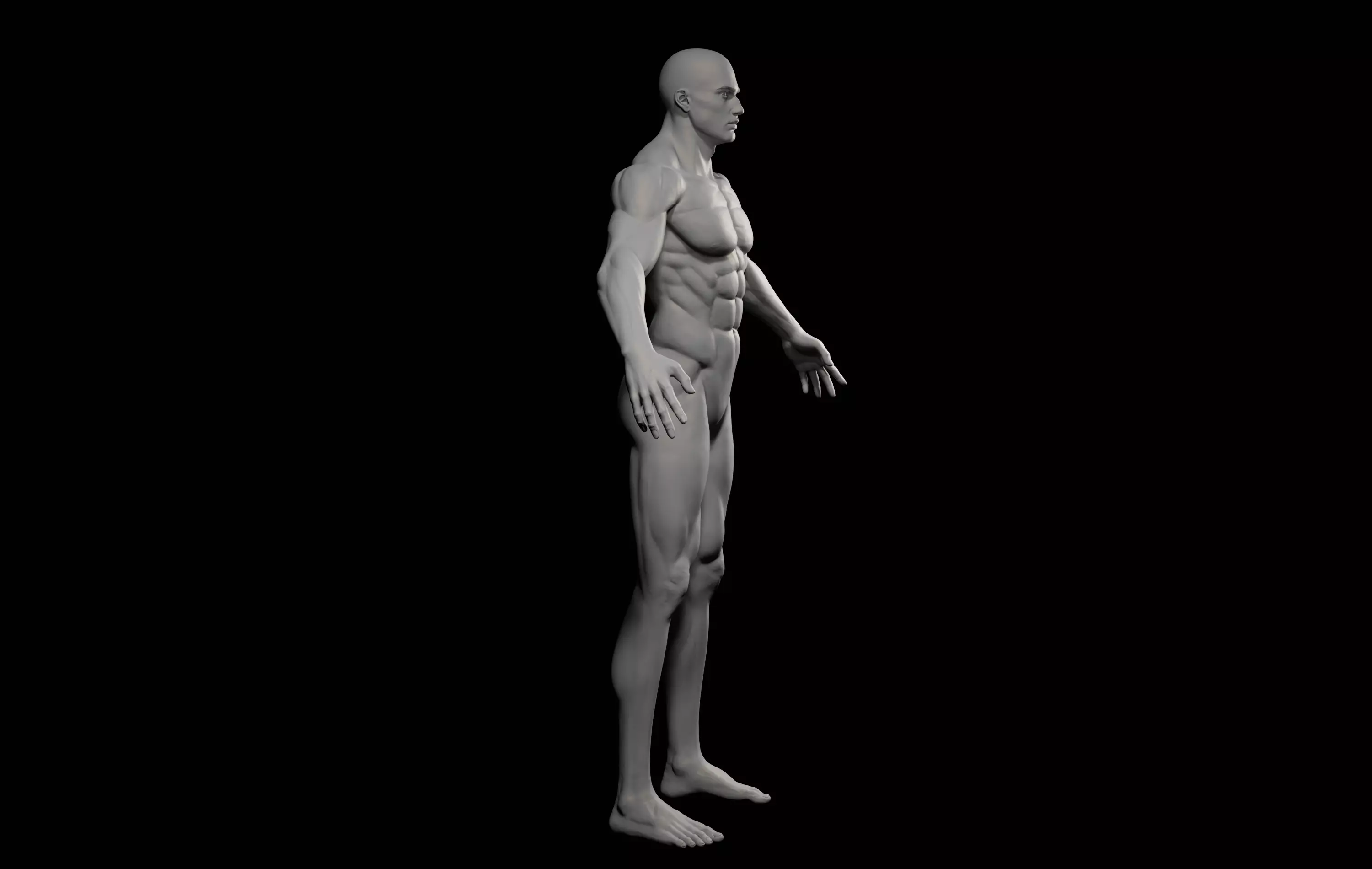 Fantasy Muscular strong man male basemesh 3D model_8