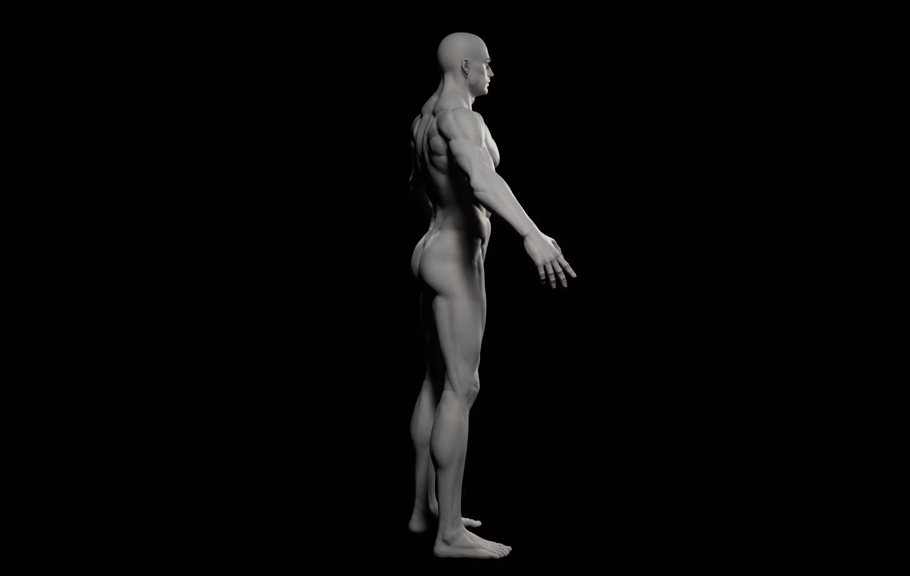 Fantasy Muscular strong man male basemesh 3D model_9