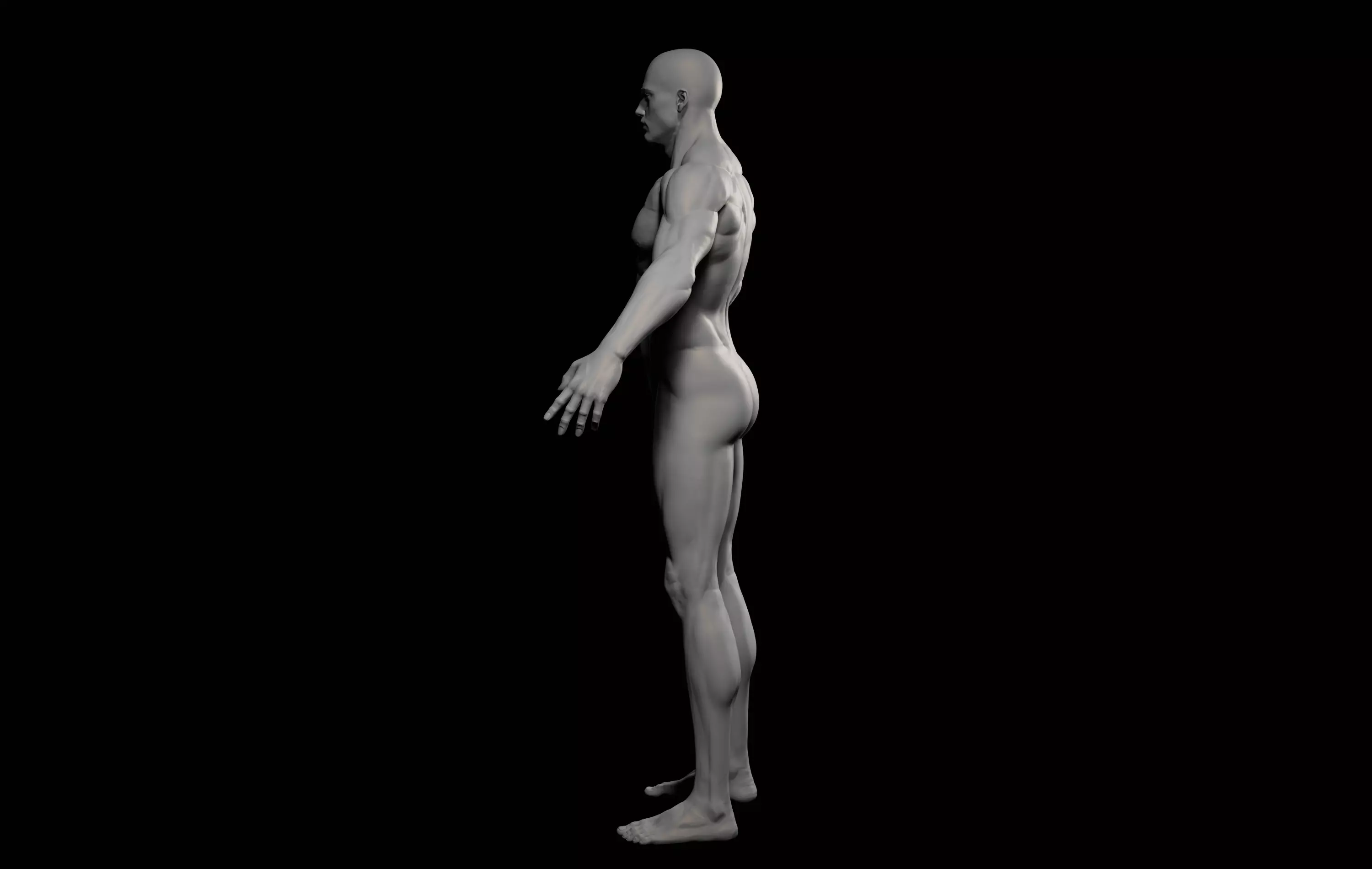 Fantasy Muscular strong man male basemesh 3D model_13