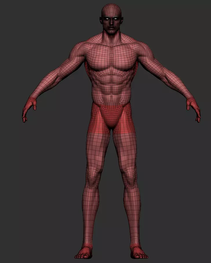 Fantasy Muscular strong man male basemesh 3D model_3