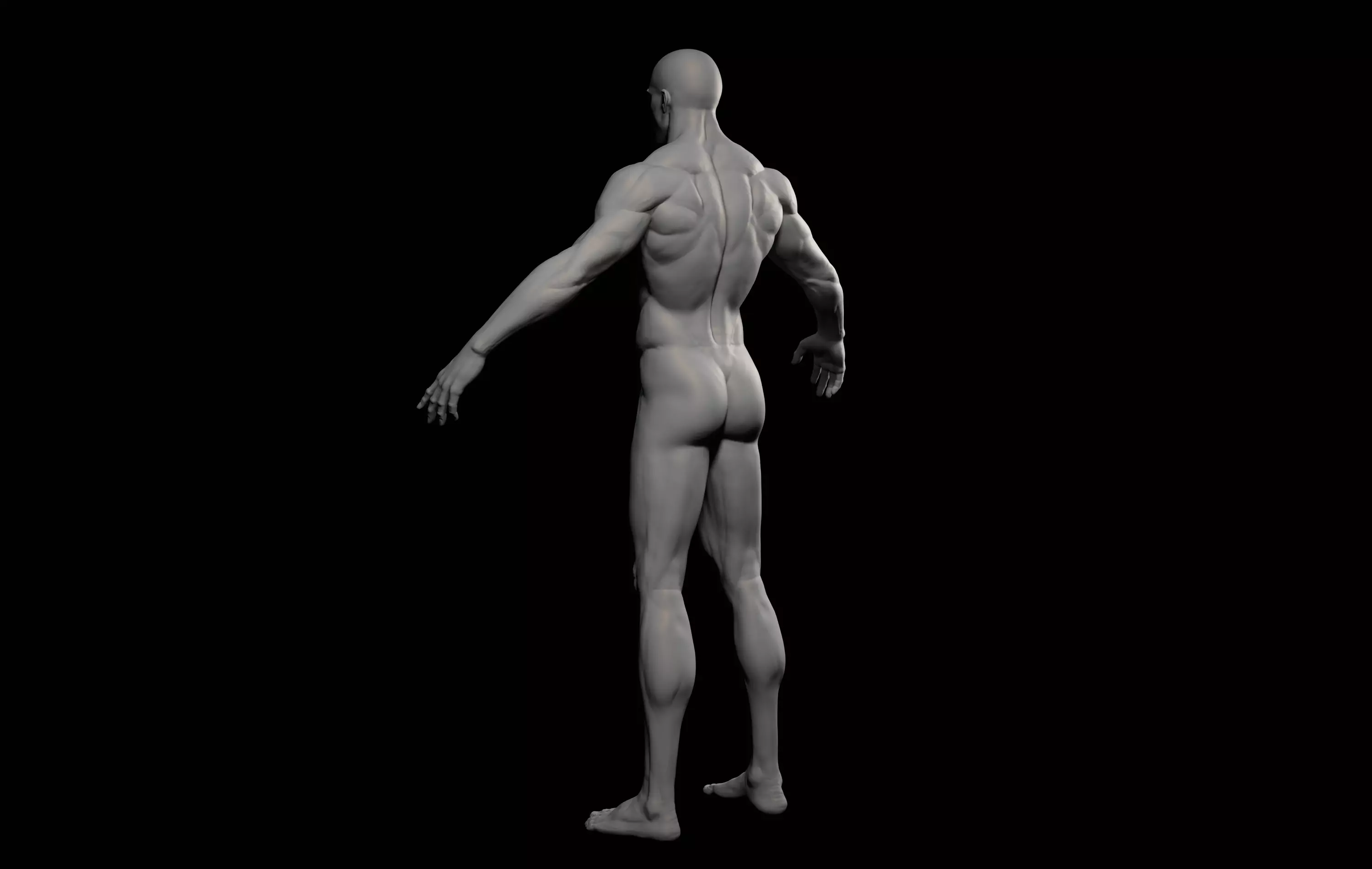 Fantasy Muscular strong man male basemesh 3D model_12