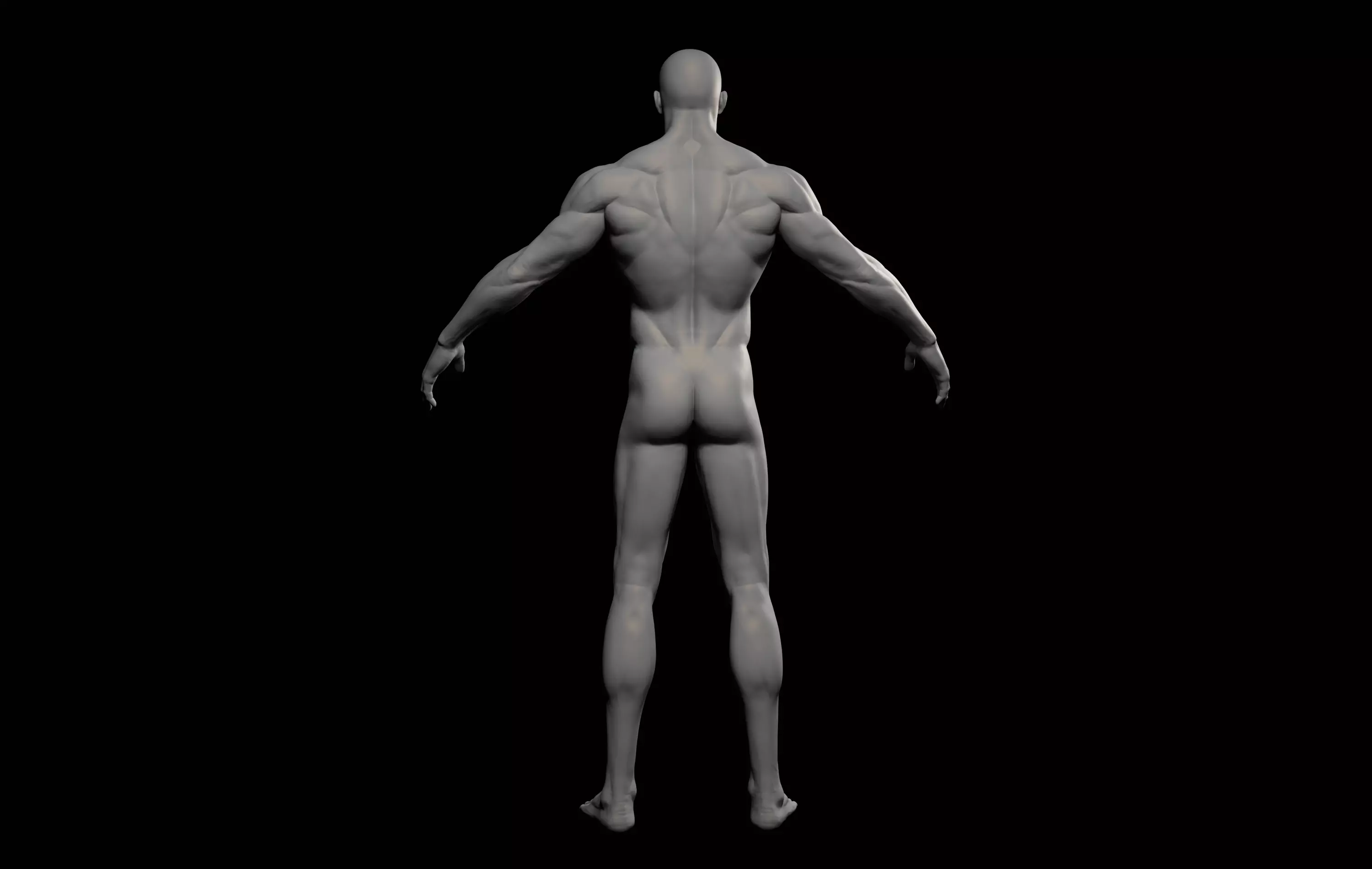 Fantasy Muscular strong man male basemesh 3D model_11