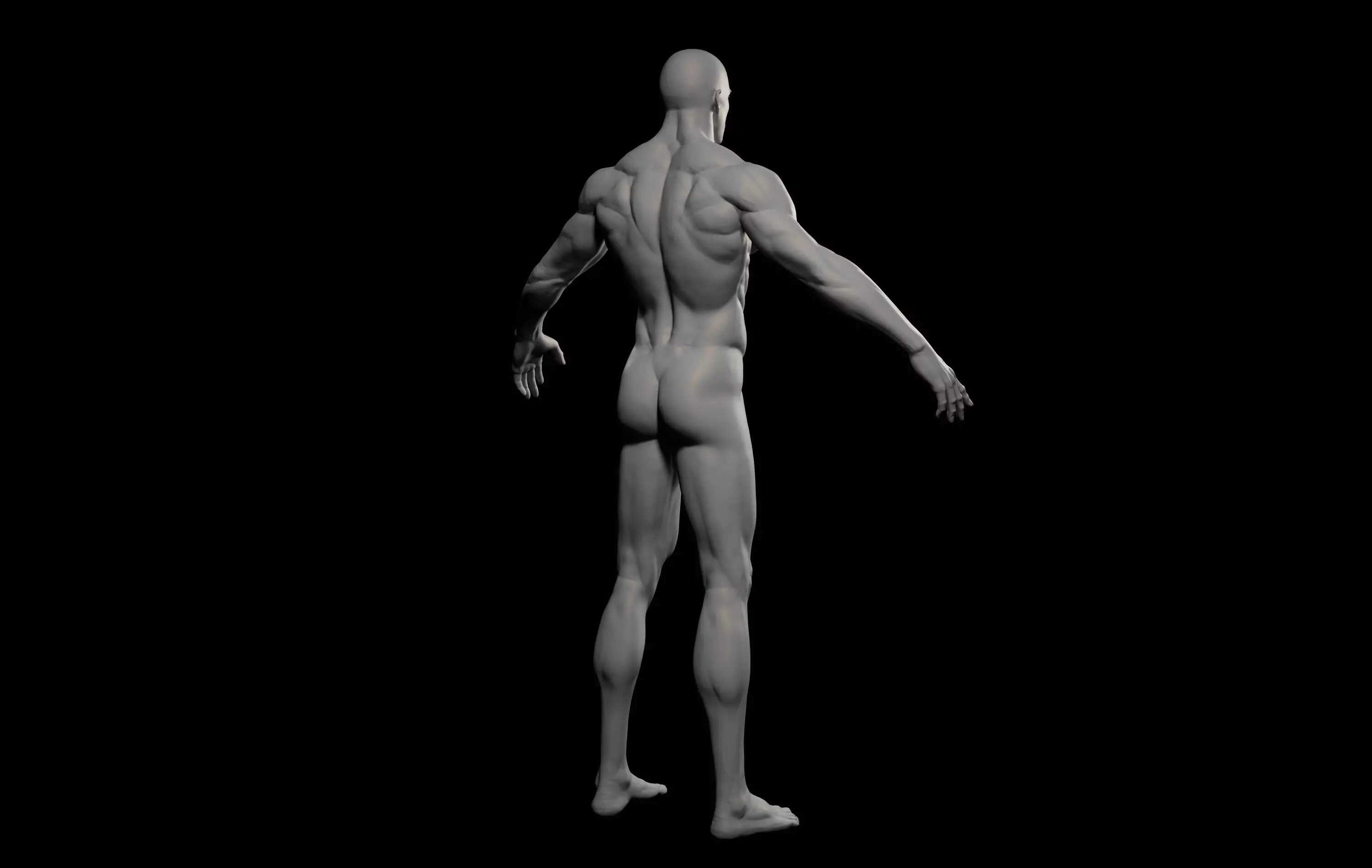 Fantasy Muscular strong man male basemesh 3D model_10