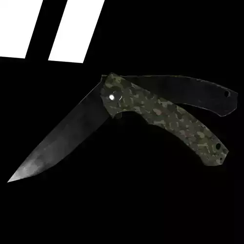 Folding Knife