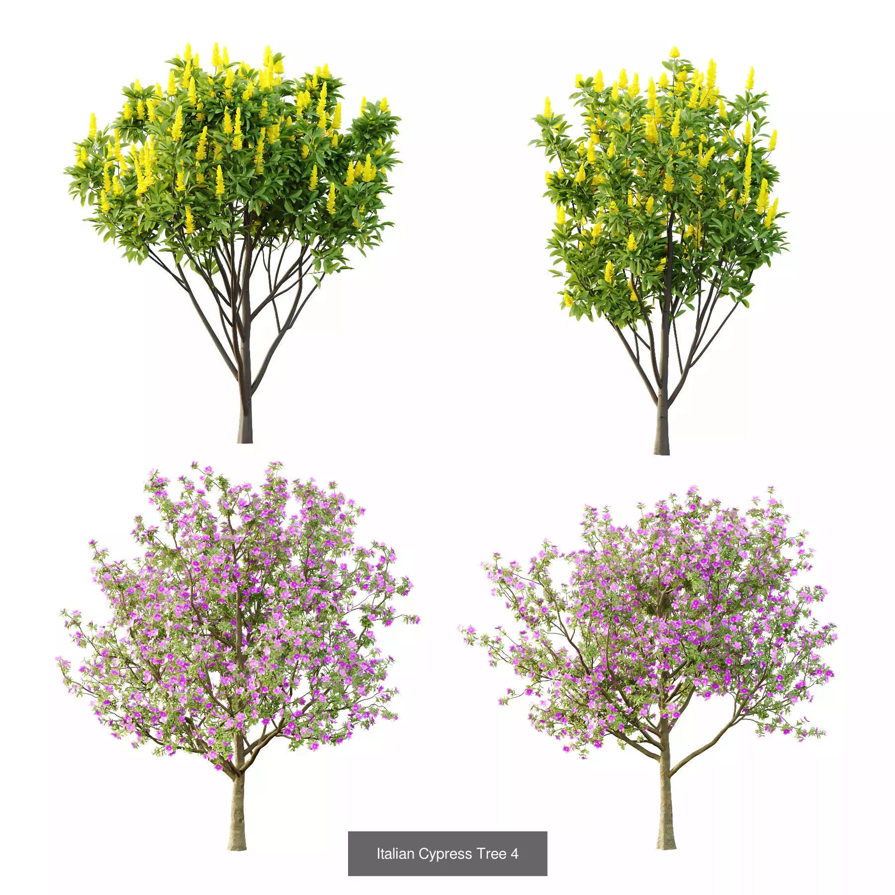 Excellent collection of Tree plants 22 Different Models 0014 _3