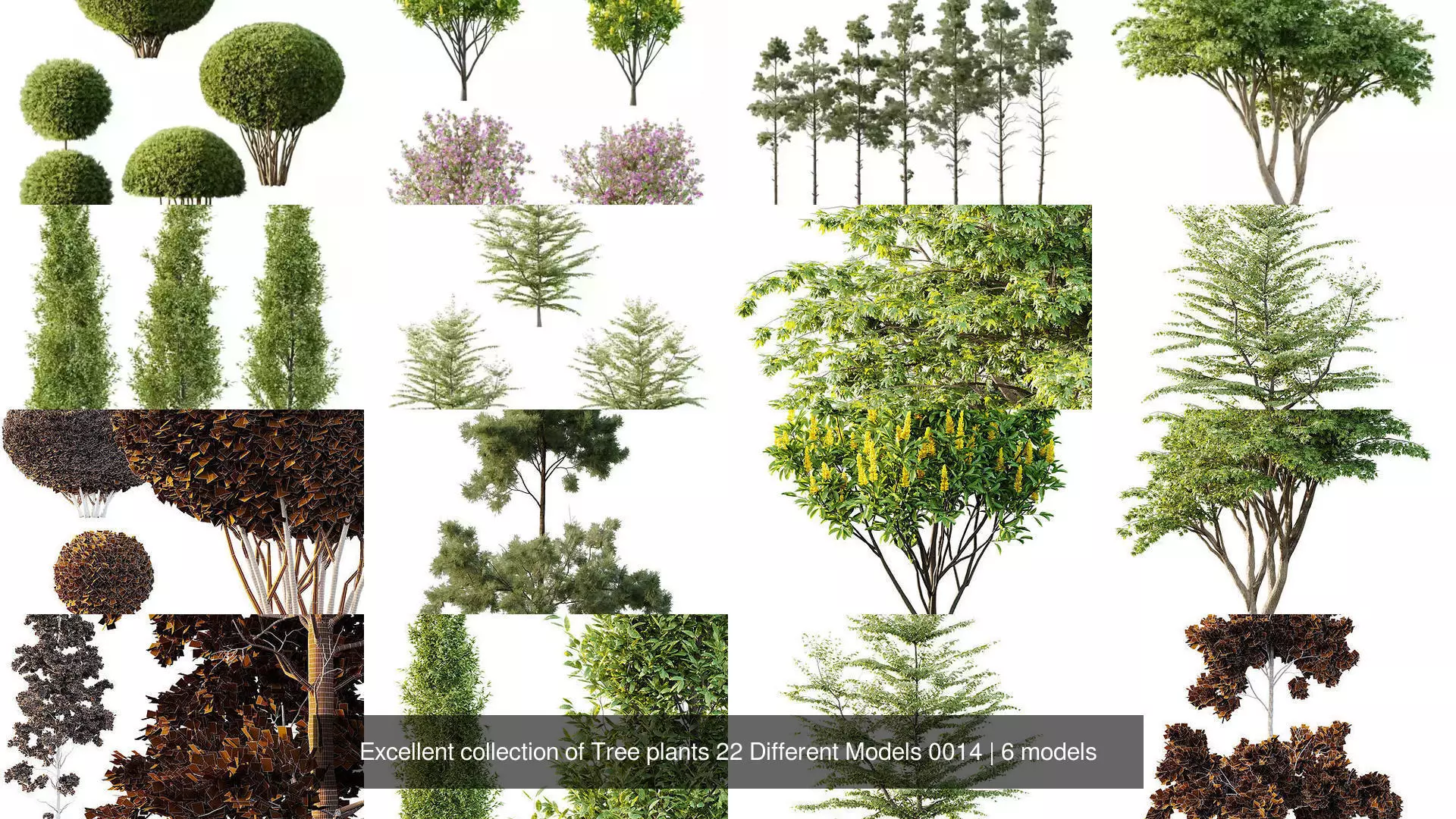Excellent collection of Tree plants 22 Different Models 0014 _1