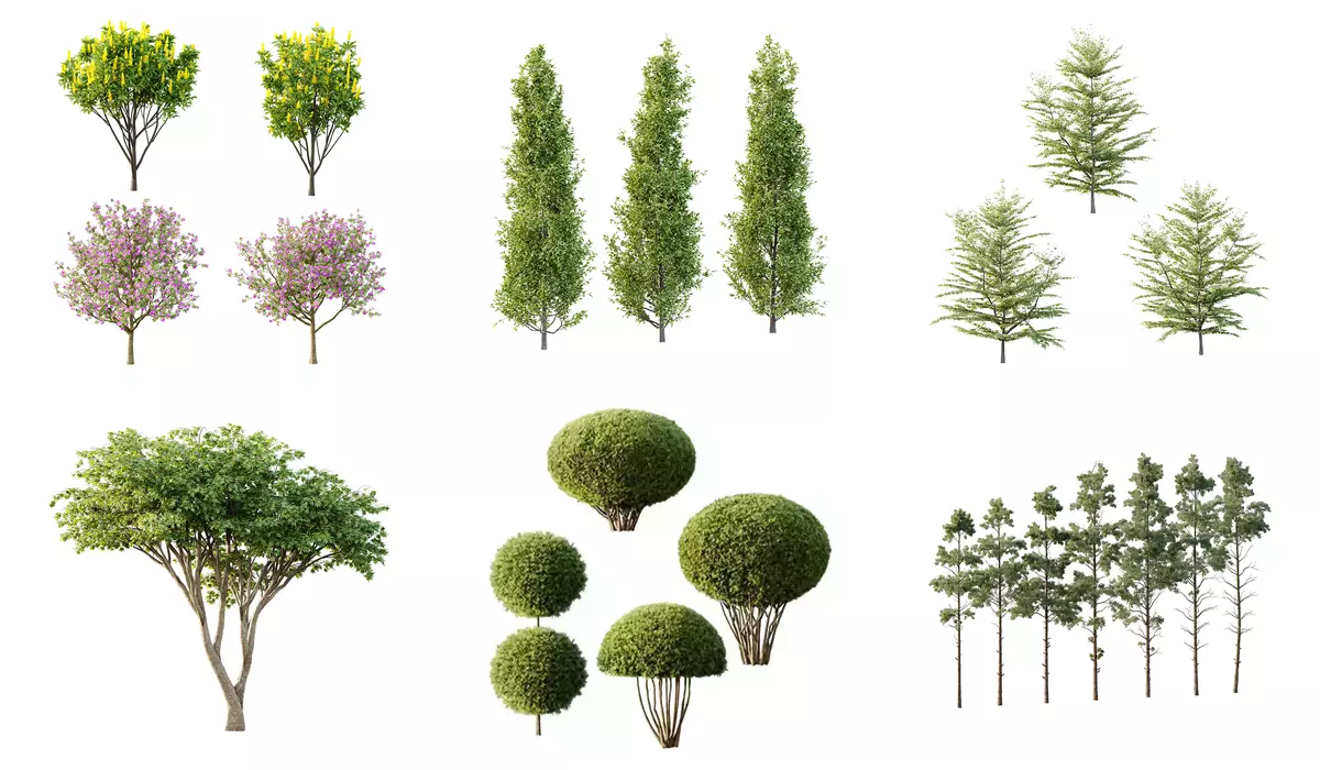 Excellent collection of Tree plants 22 Different Models 0014 _0