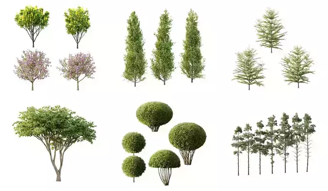 Excellent collection of Tree plants 22 Different Models 0014  Excellent collection of Tree plants 22 Different Models 0014