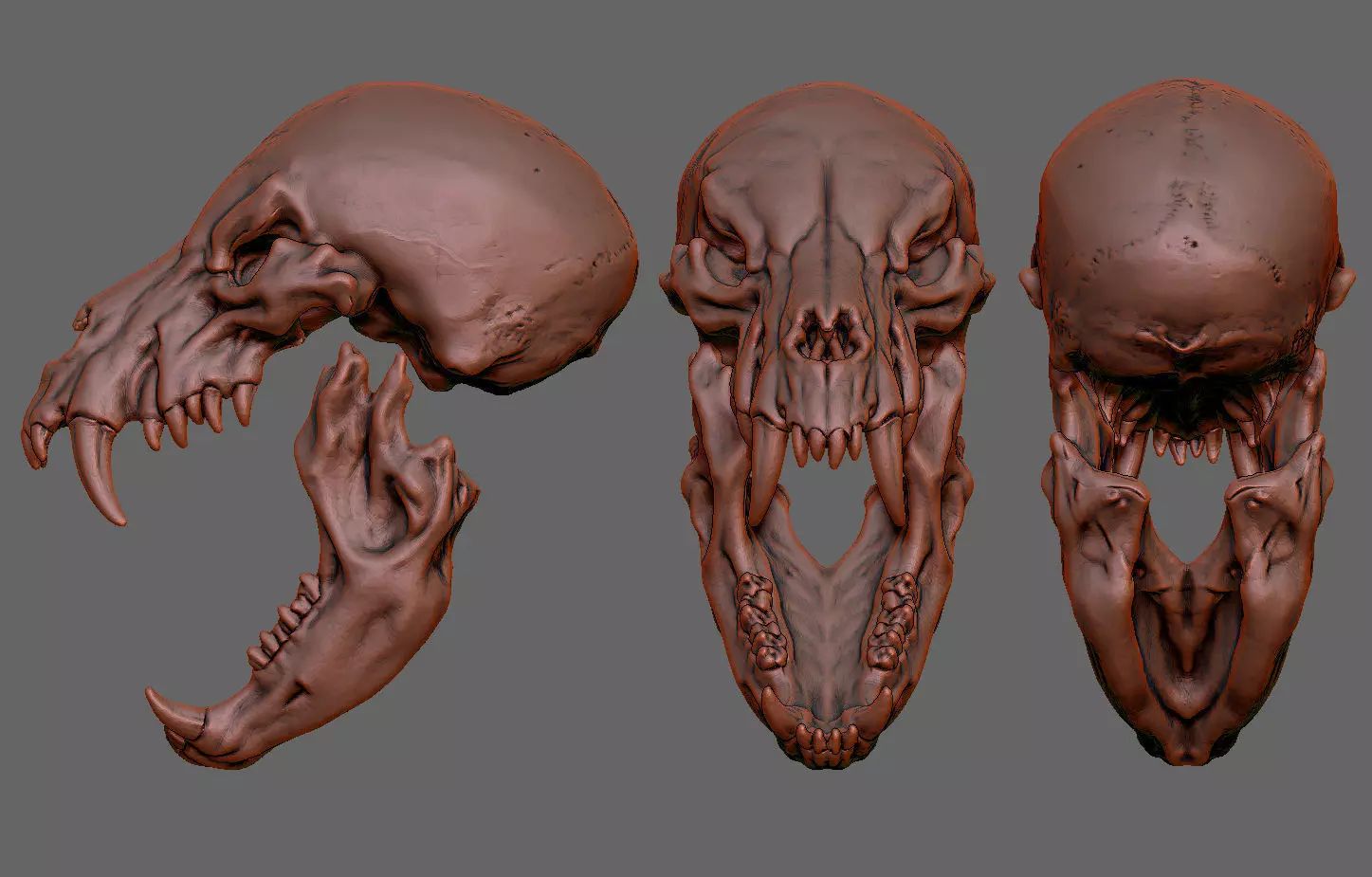 Werewolf Skull 3D print model_2
