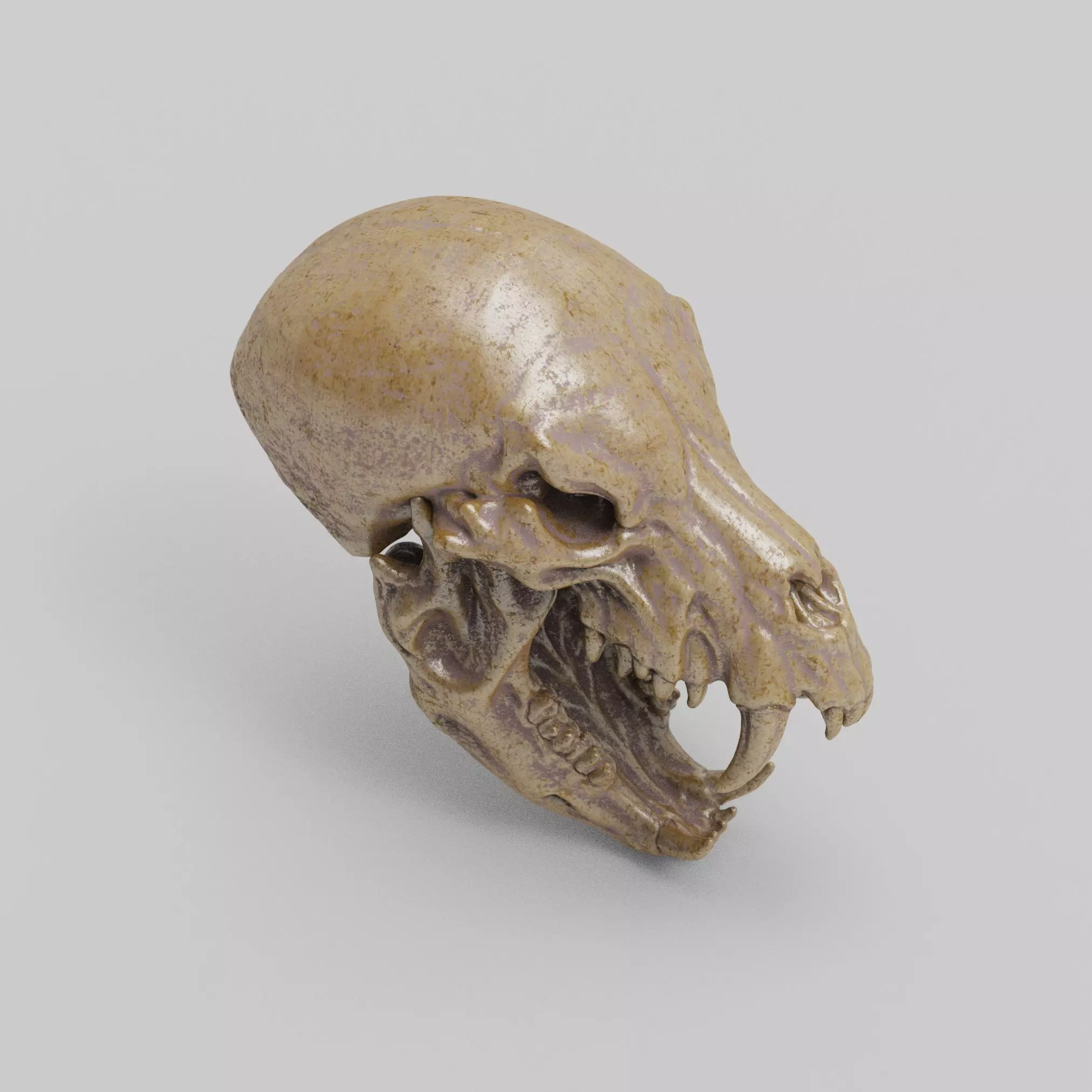 Werewolf Skull 3D print model_5