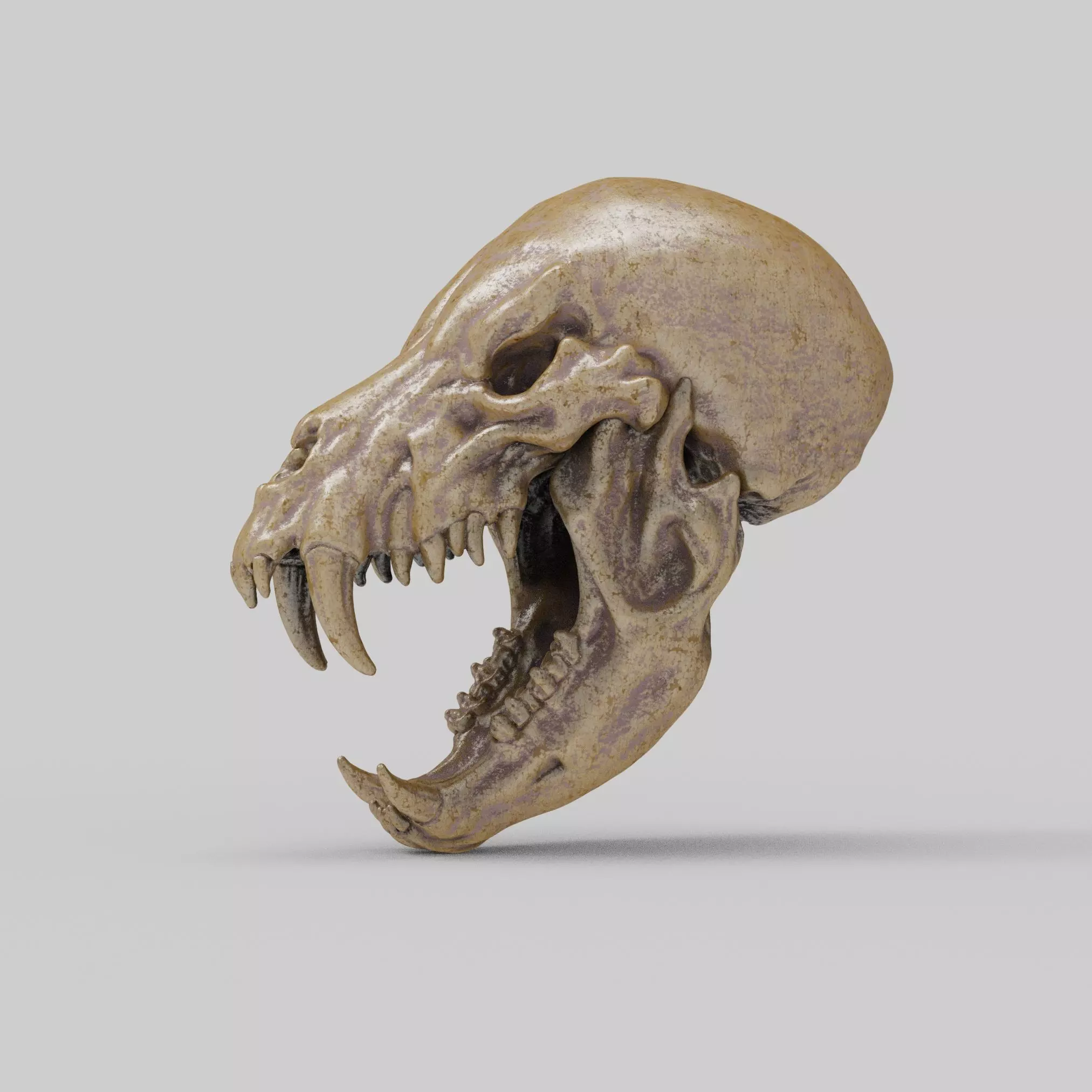 Werewolf Skull 3D print model_0