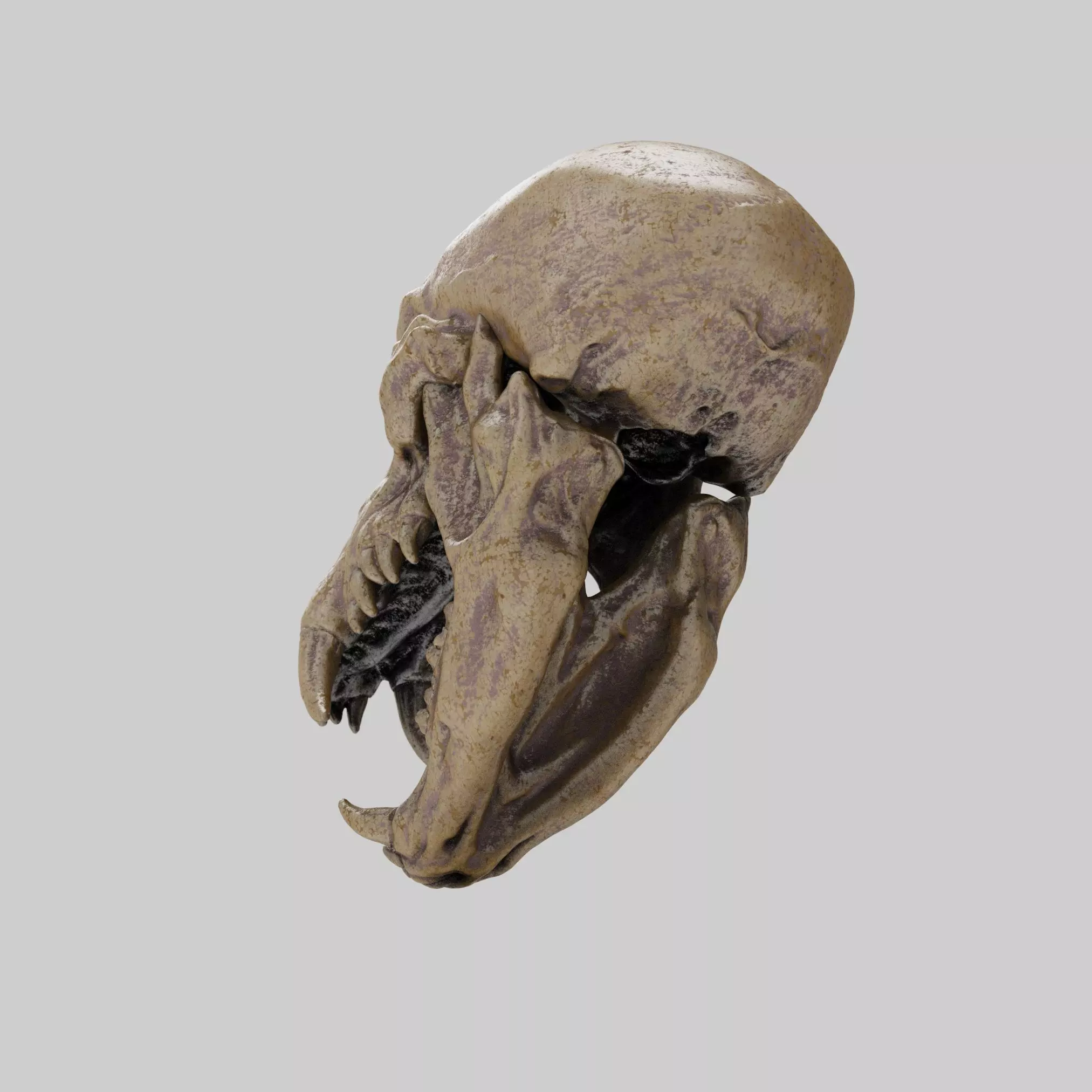 Werewolf Skull 3D print model_4