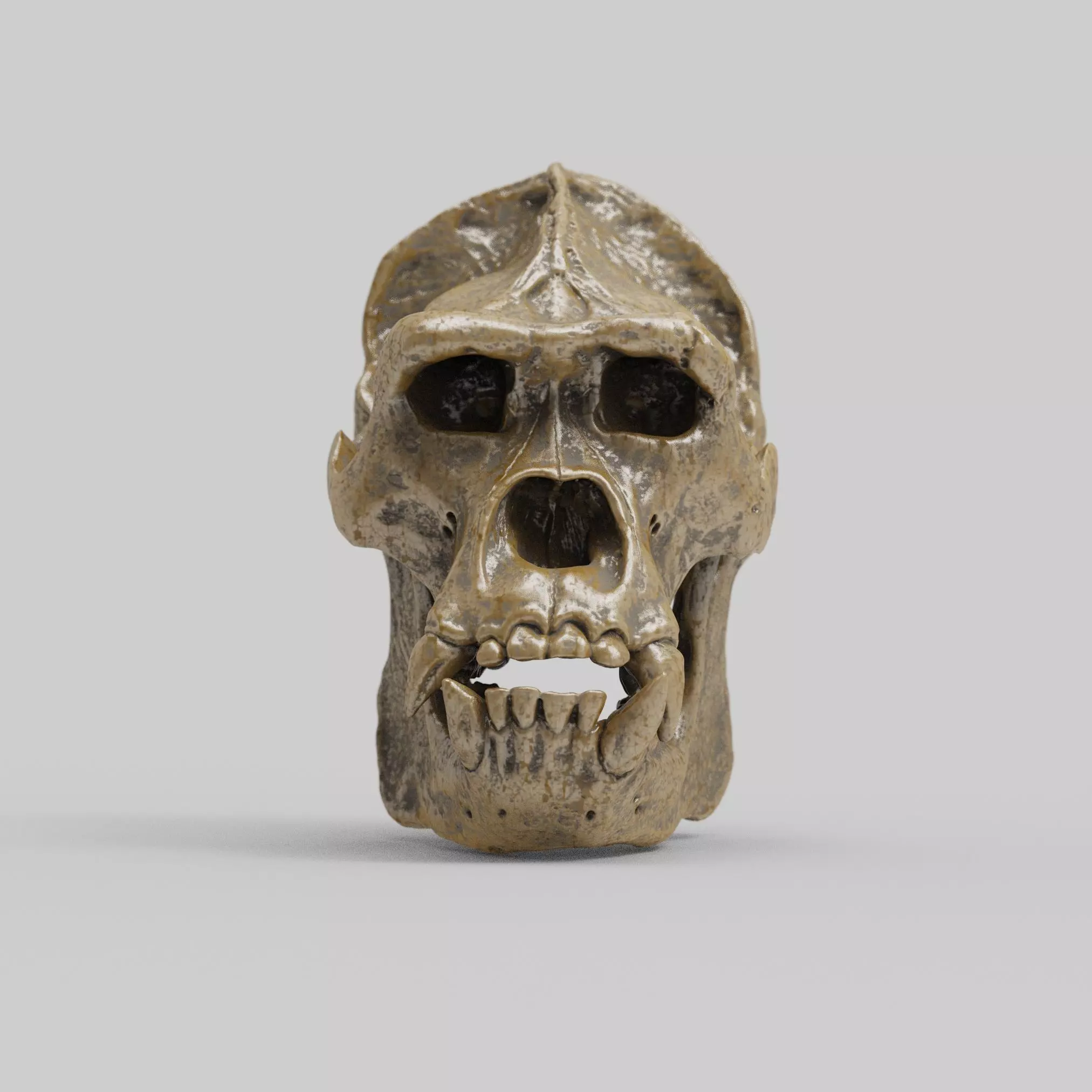 Gorilla Skull 3D print model_1