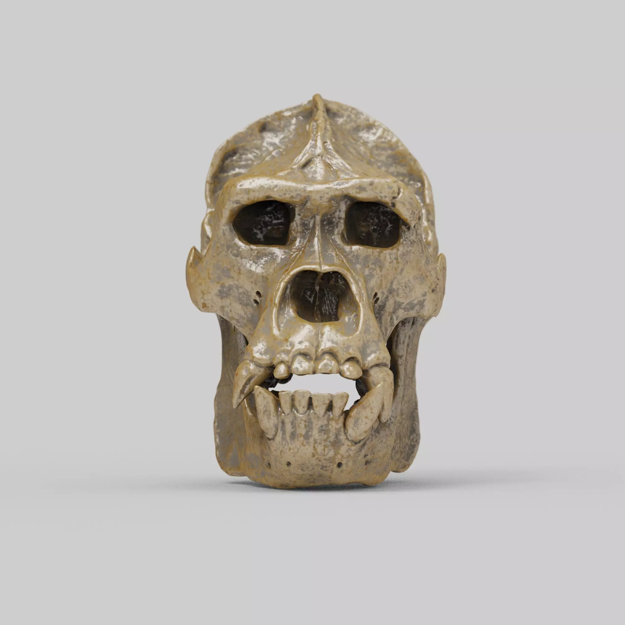 Gorilla Skull 3D print model_4
