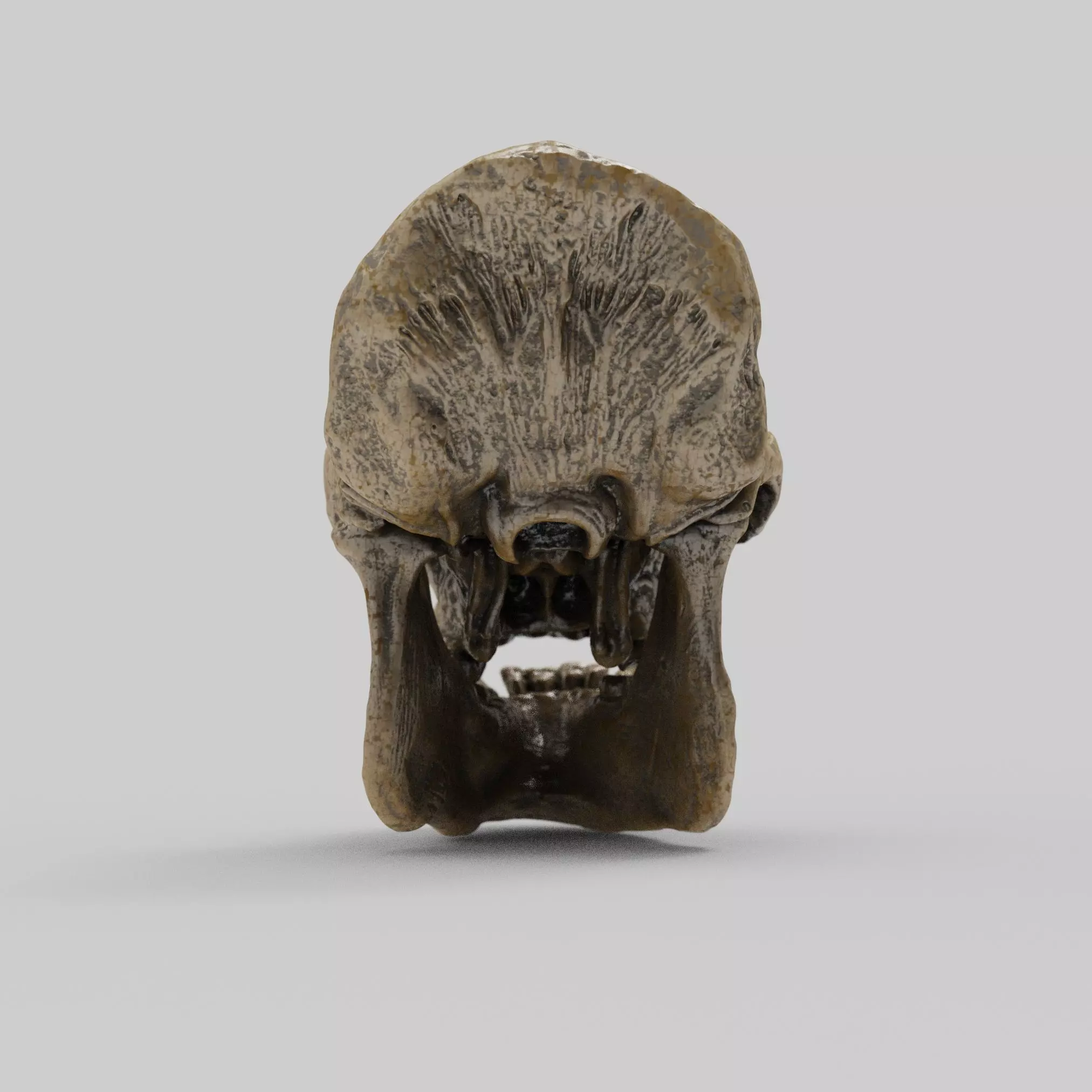 Gorilla Skull 3D print model_5