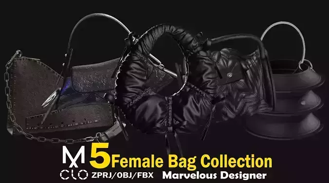 5 Female Bag Collection 3D model 5 Female Bag Collection 3D model