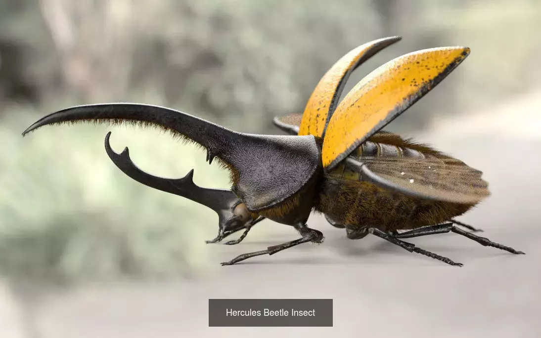 Insects 3d model collection _32