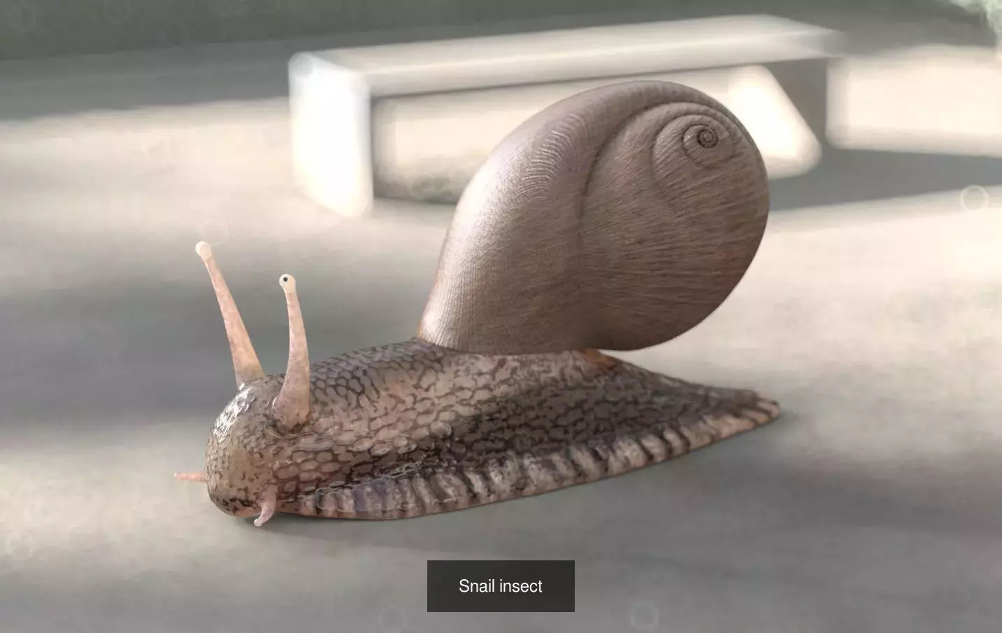 Insects 3d model collection _10