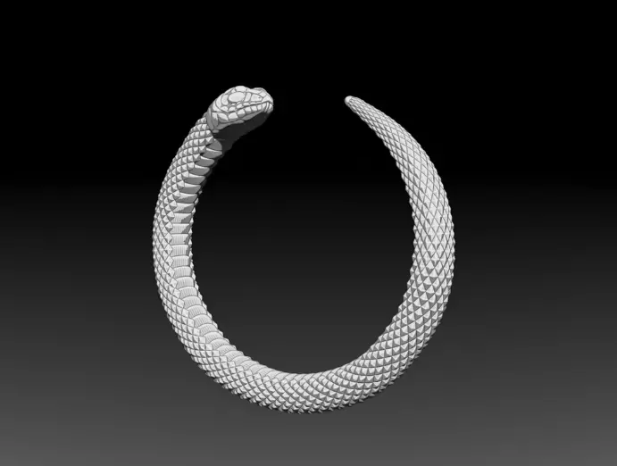 Snake Symbol of Rebirth Free 3D print model Free 3D print model_5
