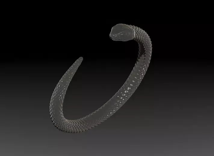 Snake Symbol of Rebirth Free 3D print model Free 3D print model_3