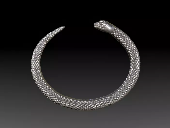 Snake Symbol of Rebirth Free 3D print model Free 3D print model_2