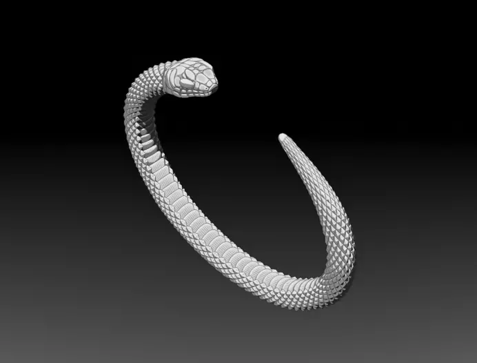 Snake Symbol of Rebirth Free 3D print model Free 3D print model_4