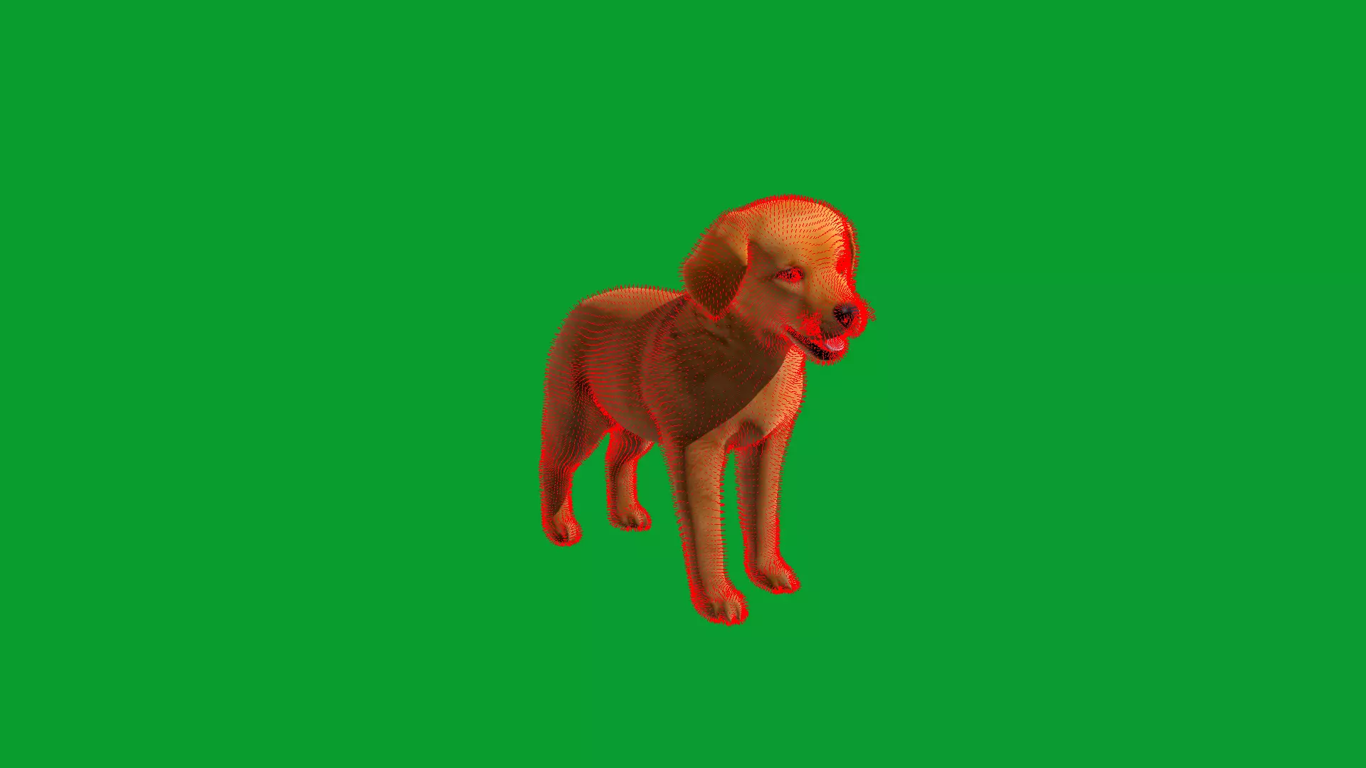 Golden Retriever Puppy Dog Low-poly 3D model_21