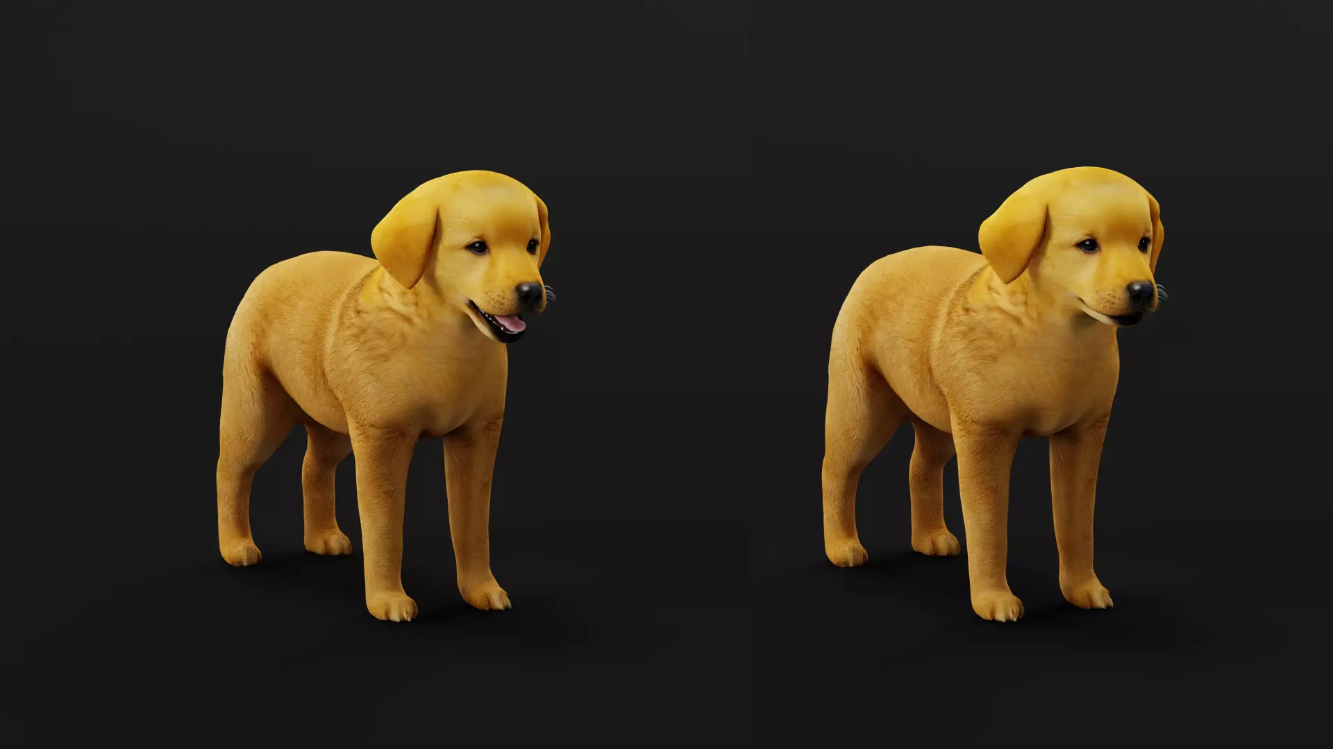 Golden Retriever Puppy Dog Low-poly 3D model_30
