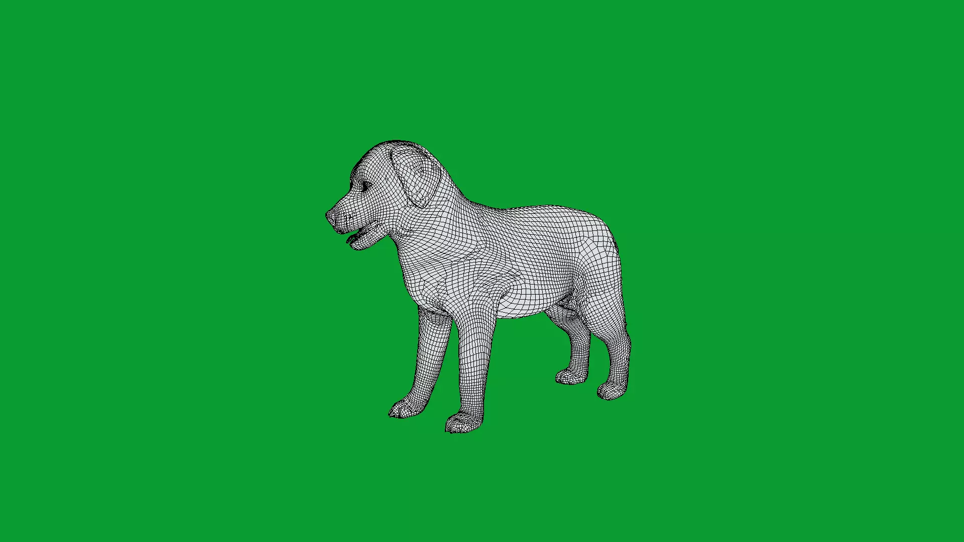 Golden Retriever Puppy Dog Low-poly 3D model_19