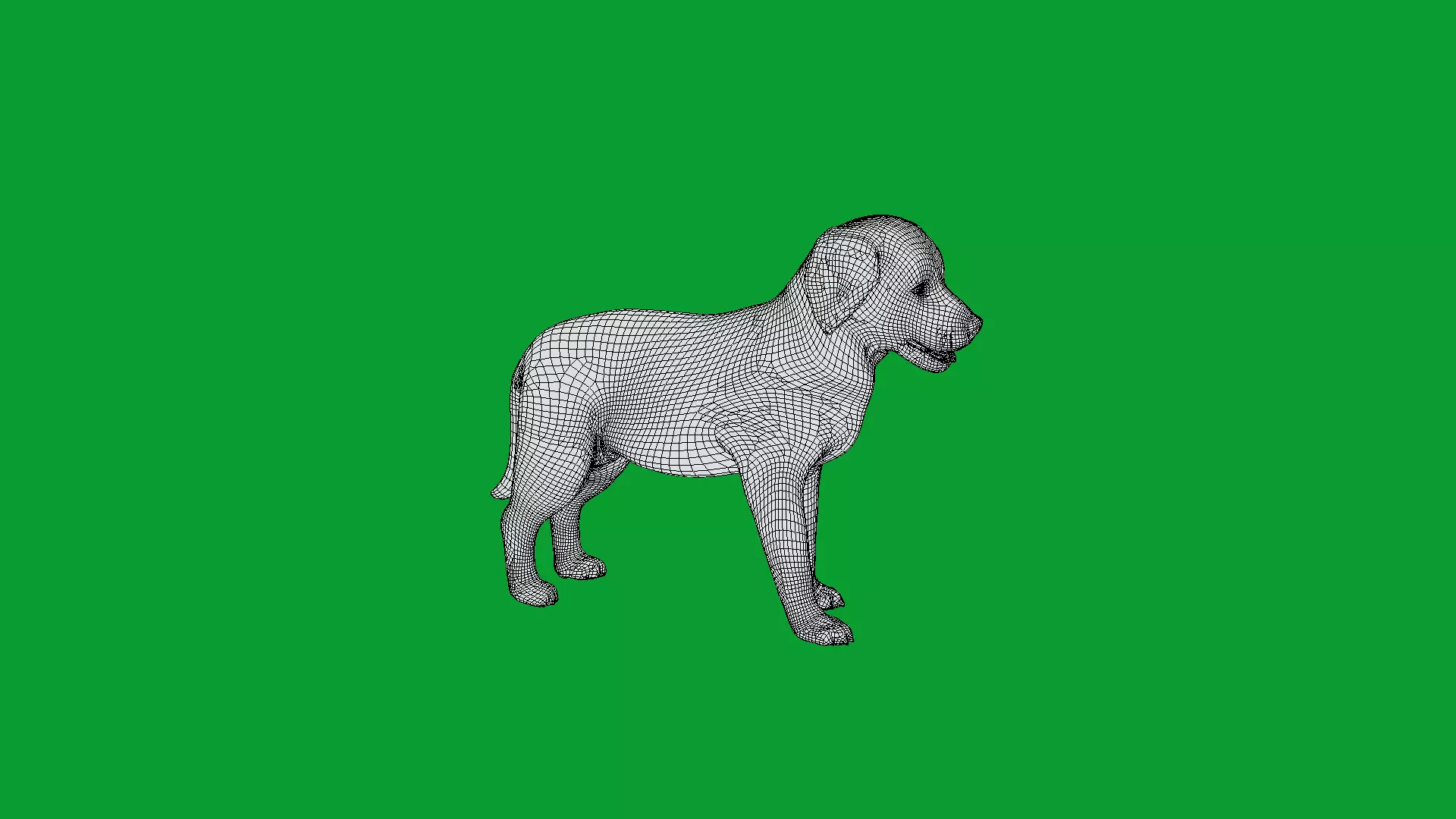 Golden Retriever Puppy Dog Low-poly 3D model_18
