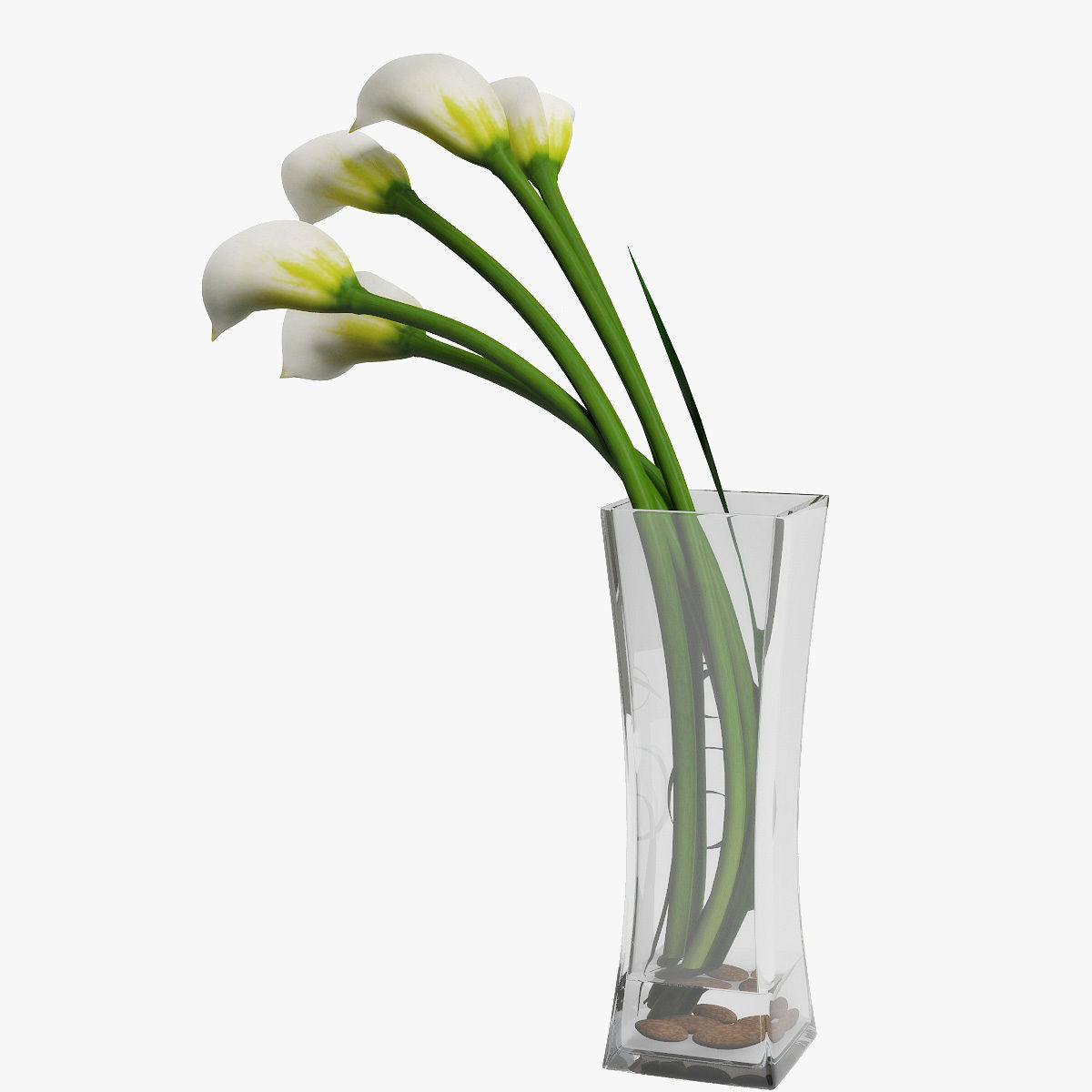 Calla lily 03 3D model_7