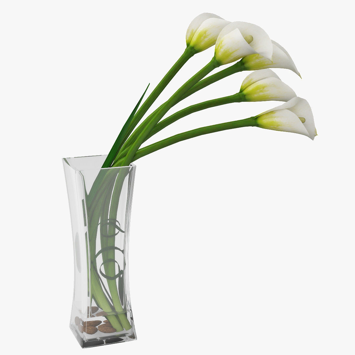 Calla lily 03 3D model_3