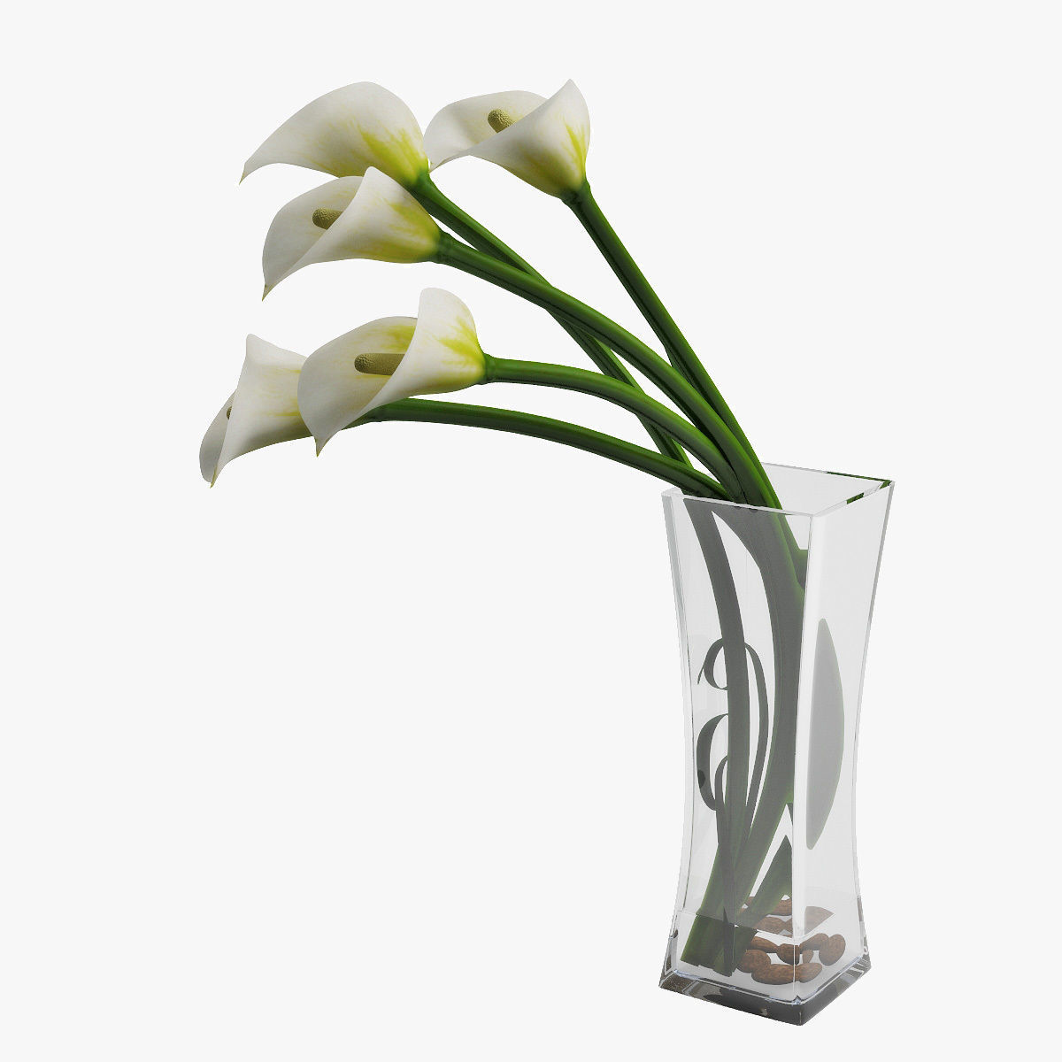 Calla lily 03 3D model_8