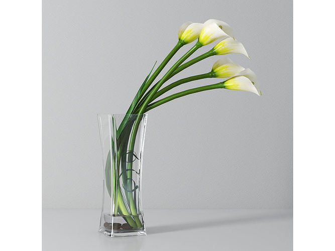 Calla lily 03 3D model