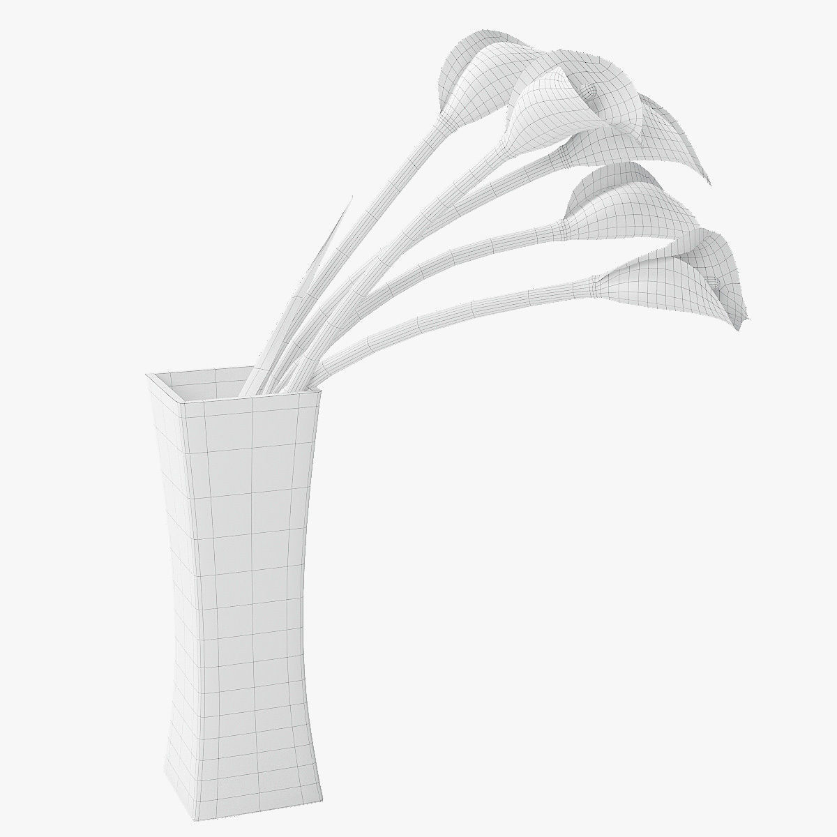 Calla lily 03 3D model_4